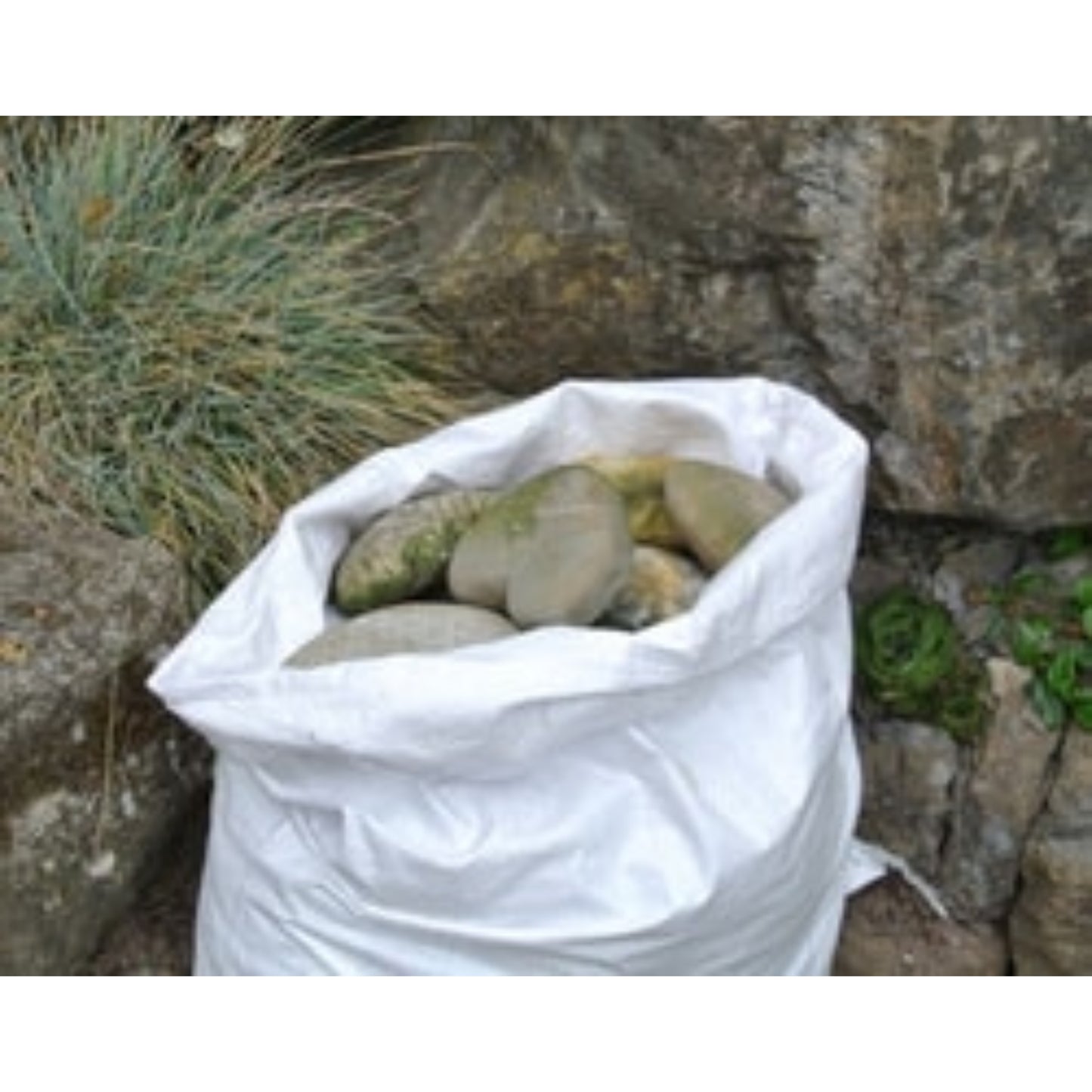 DM-FOLIEN Sac jardin réutilisable Accessoires de jardinage, OUTIL DE JARDIN RANGESTOCK