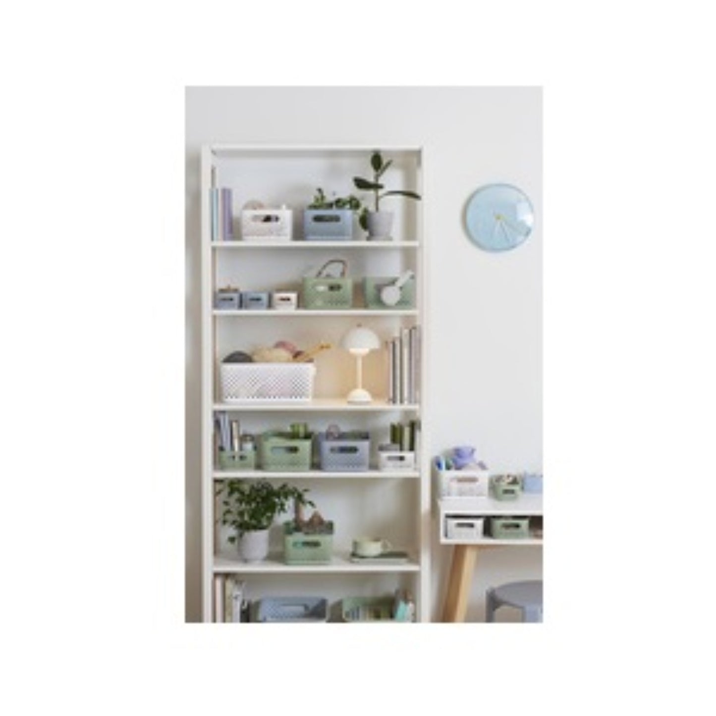 SMARTSTORE Bac de rangement Essence modèle M - 5,5L bac plastique, BOITE & BAC RANGESTOCK