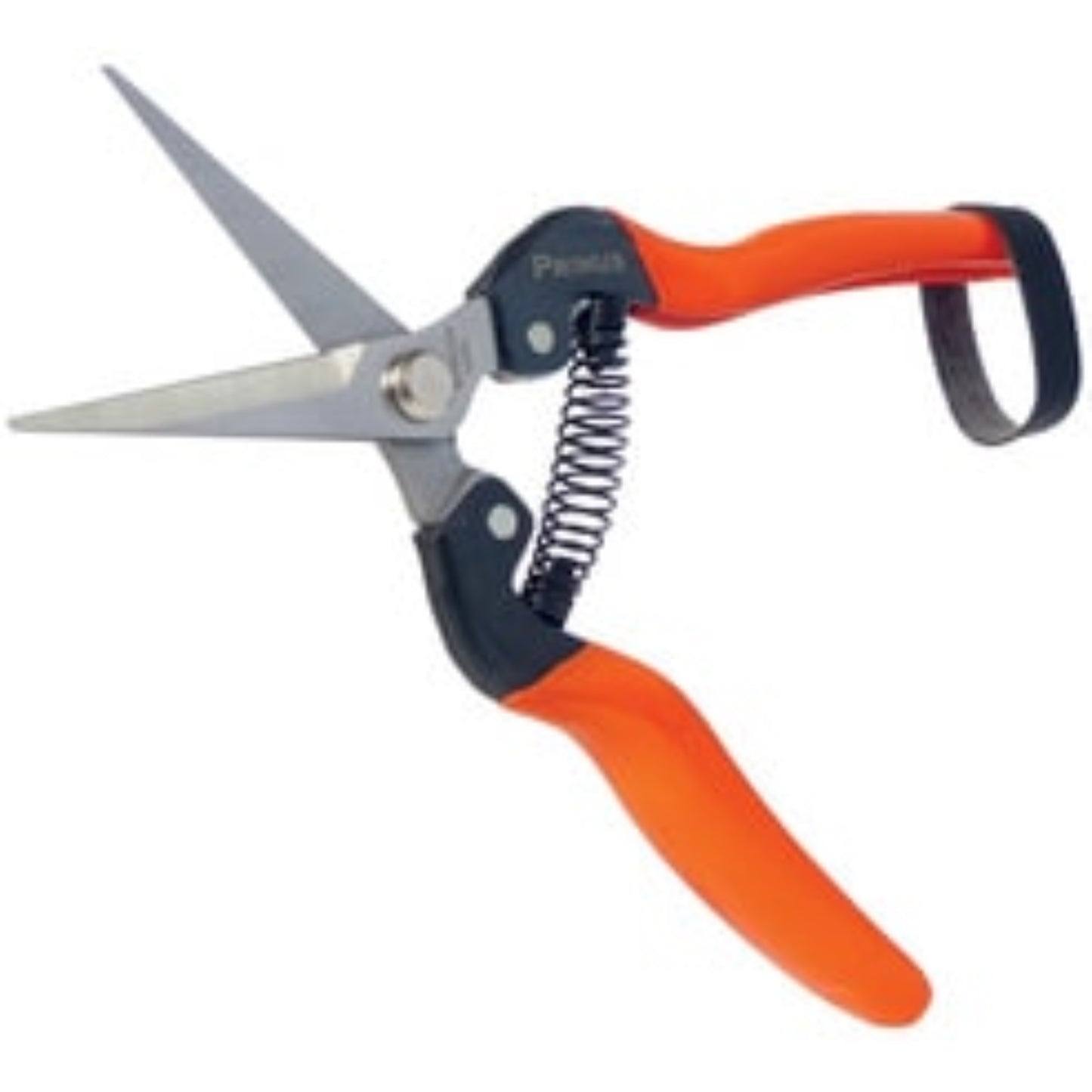 Garten PRIMUS Ciseaux de jardin magiques OUTIL DE JARDIN, Sécateur RANGESTOCK