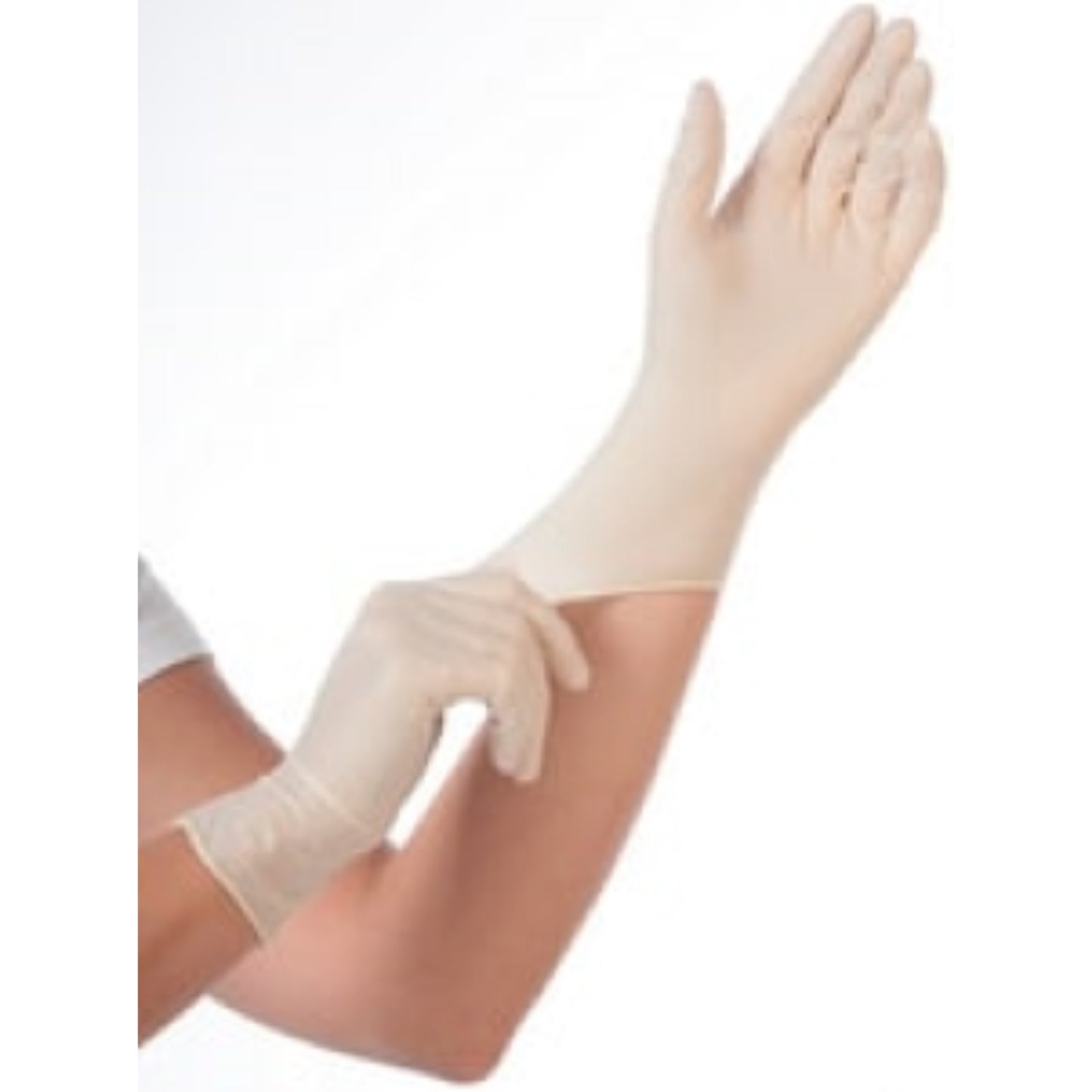 HYGONORM Gant en latex Skin light poudré Gant de travail, PROTECTION & SECURITE RANGESTOCK