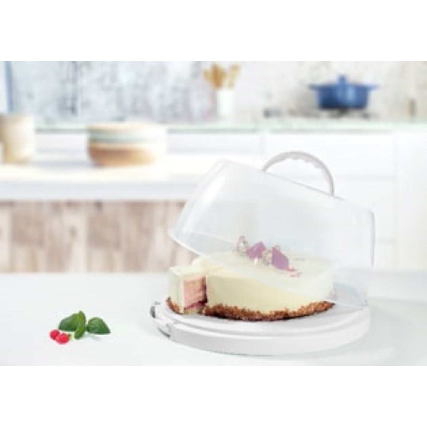 PLAST TEAM Plat et cloche à gâteau BOITE & BAC, Boite alimentaire hermétique RANGESTOCK