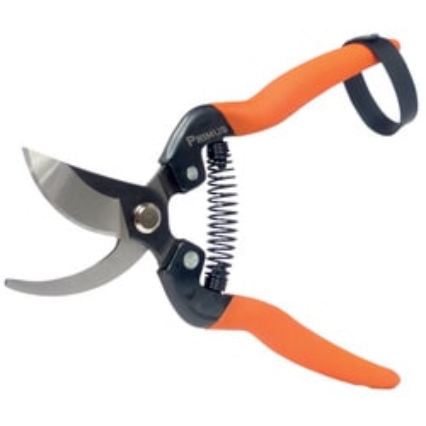 Garten PRIMUS Sécateur de jardin spécial rosier OUTIL DE JARDIN, Sécateur RANGESTOCK